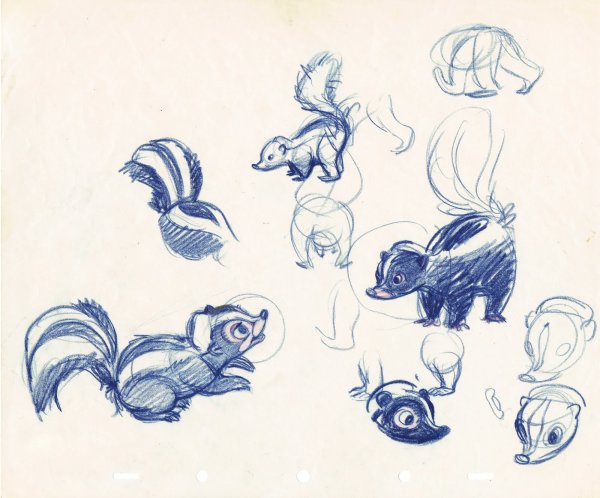 Скунс модель для рисования