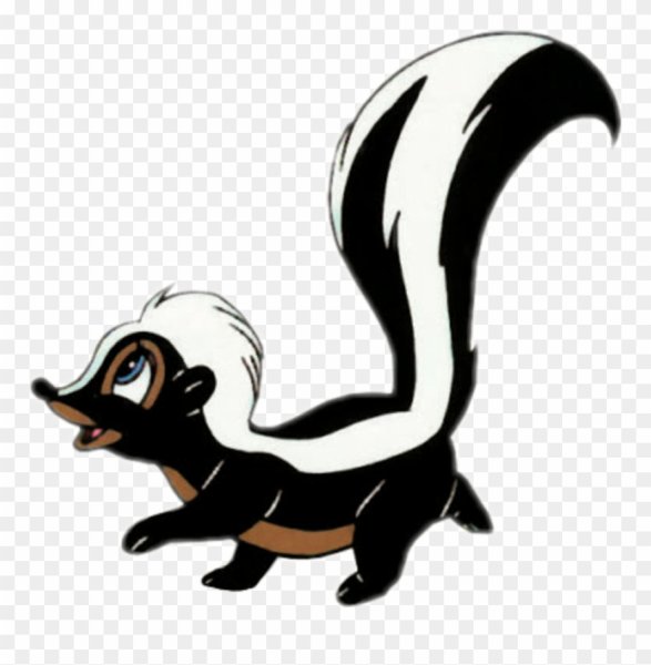 Кейдж скунс