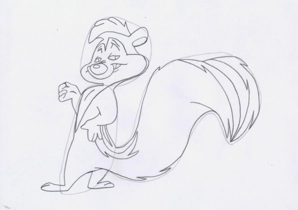 Скунс нарисовать карандашом