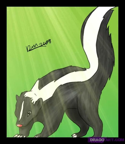 Как нарисовать скунса