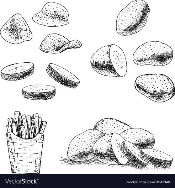 Картошка скетч