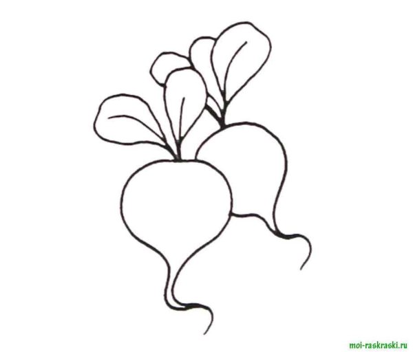 Редис раскраска