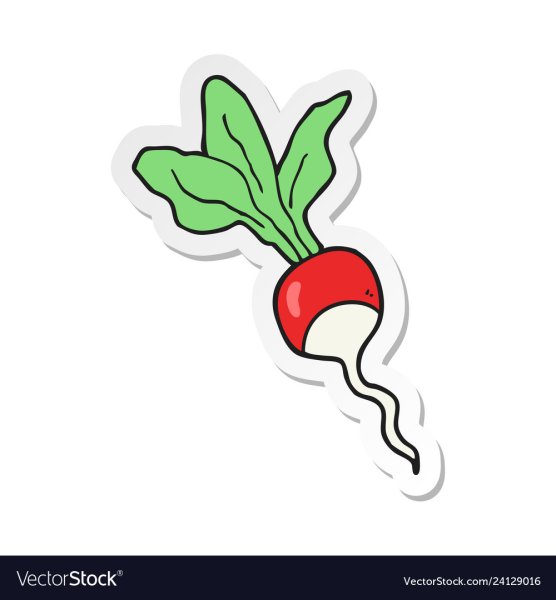 Редис для срисовки