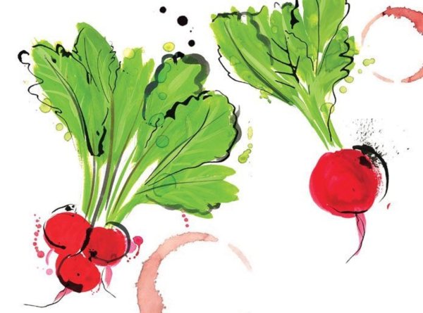Нарисовать редис