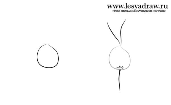 Редиска поэтапно рисунок