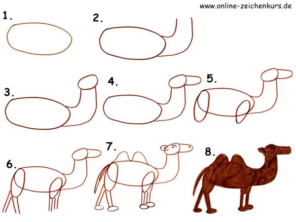 Поэтапное рисование верблюда