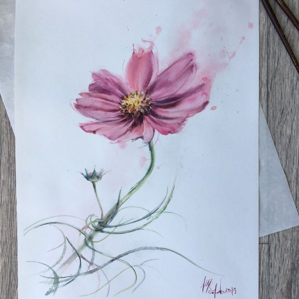 Поэтапное рисование космея