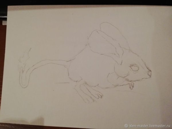 Поэтапное рисование тушканчика