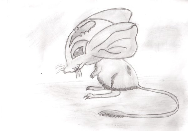 Малый Египетский тушканчик