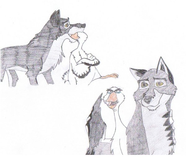 Балто Борис