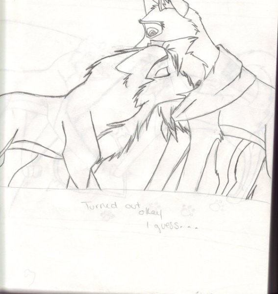 Рисунки Балто поэтапно для срисовки