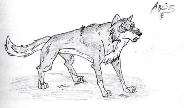 Рисунки для срисовки Балто