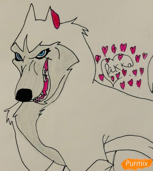 Хаски бандит и Бублик рисунки для срисовки