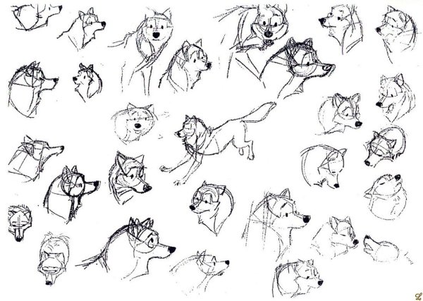 Балто скетч