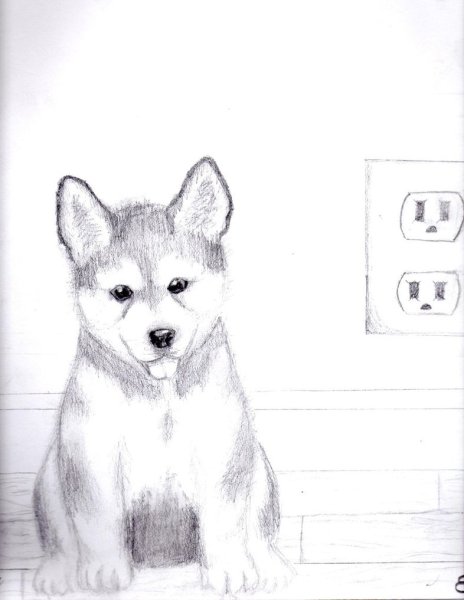 Рисунки для срисовки лайки