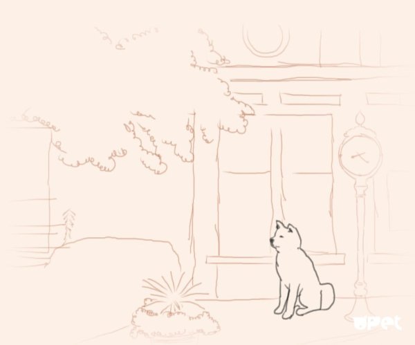 Рисунок Хатико лежит