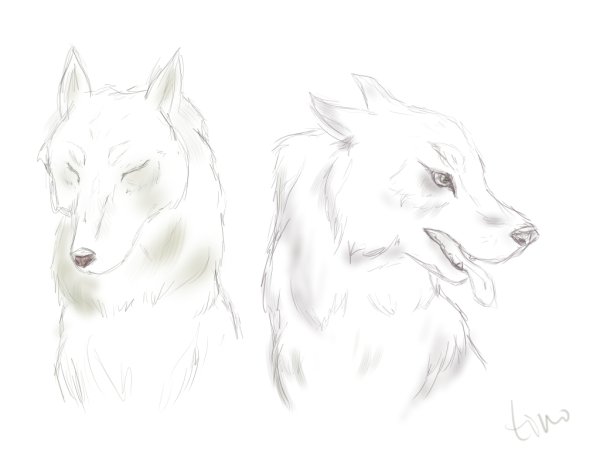 Рисунок Хатико карандашом легко