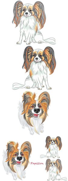 Папильон мультяшный