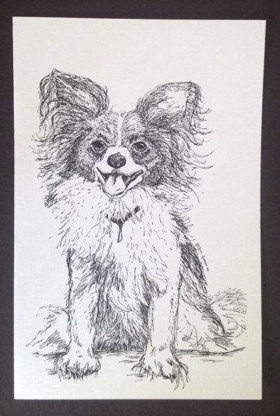 Папильон рисунок