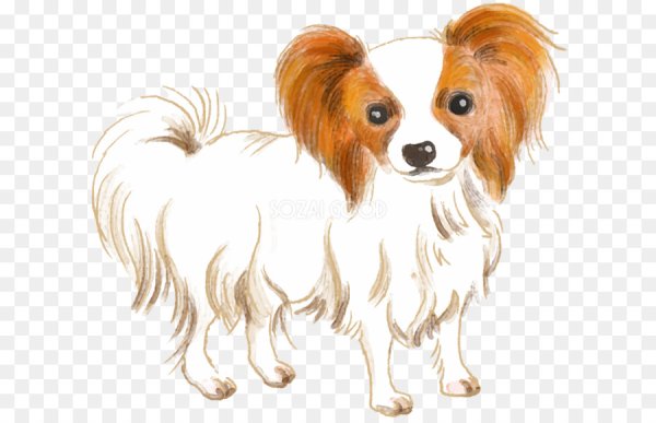 Папийон силуэт