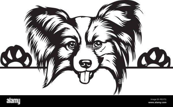 Силуэт морды собаки Папильон