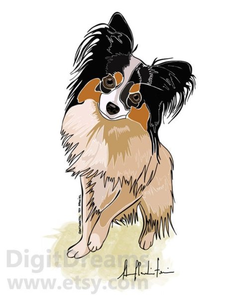 Рисунок папильона щенка