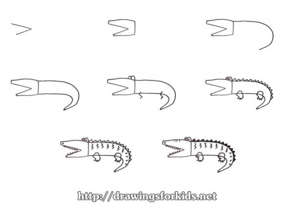 Дельфин поэтапное рисование