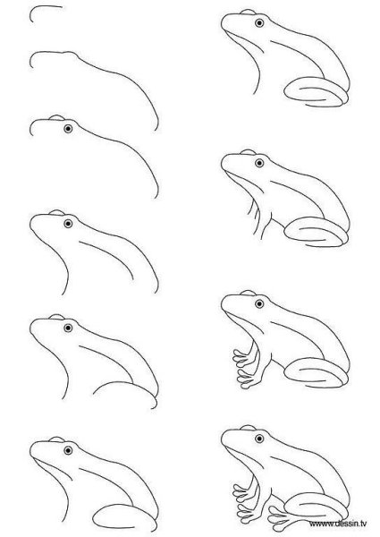 Как нарисовать крокодила