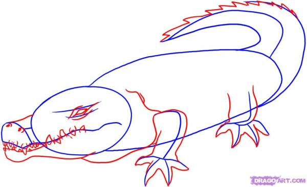 Схема рисования волка