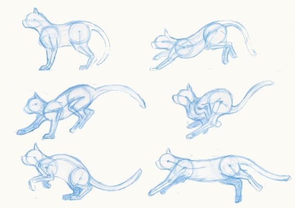 Пошаговое рисование самолета