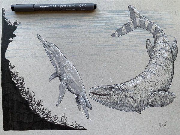 Плезиозавр эскиз