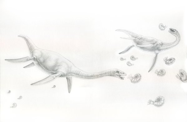 Плезиозавр Графика