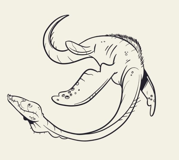 Плезиозавр раскраска