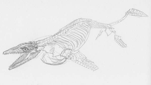 Мозазавр Гофмана против тираннозавра