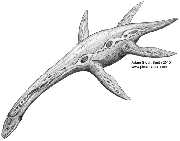 Плезиозавр мультяшный