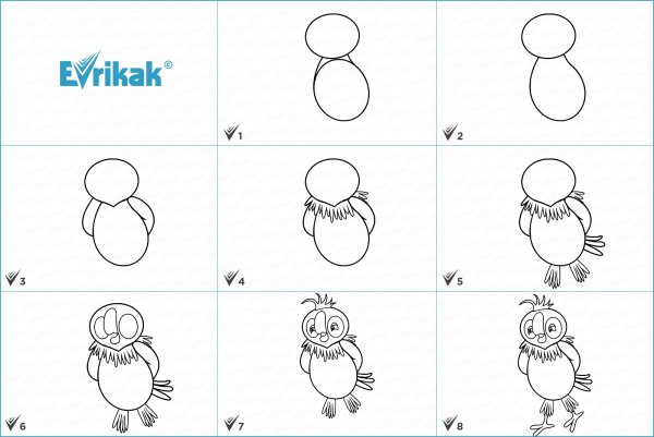 Поэтапное рисование попугая