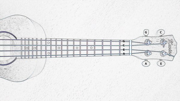 Струны укулеле подписыные