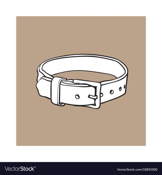 Нарисованный ошейник