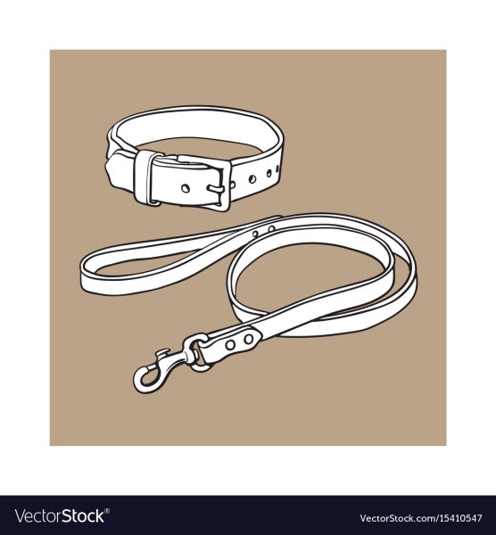 Нарисованный поводок