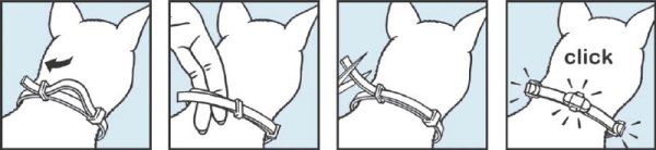 Как одеть ошейник от блох