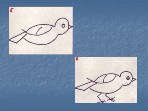 Последовательность рисования птицы в подготовительной группе