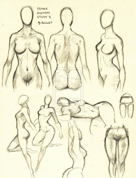 как правильно рисовать голых женщин
