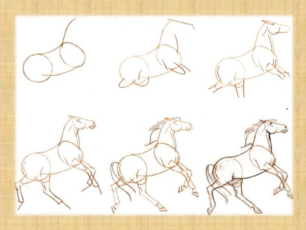 Рисование с натуры фигуры человека