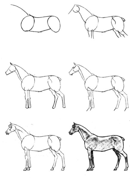Поэтапное построение натюрморта