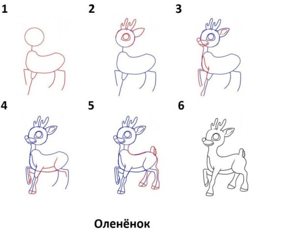 Последовательность рисования натюрмориом