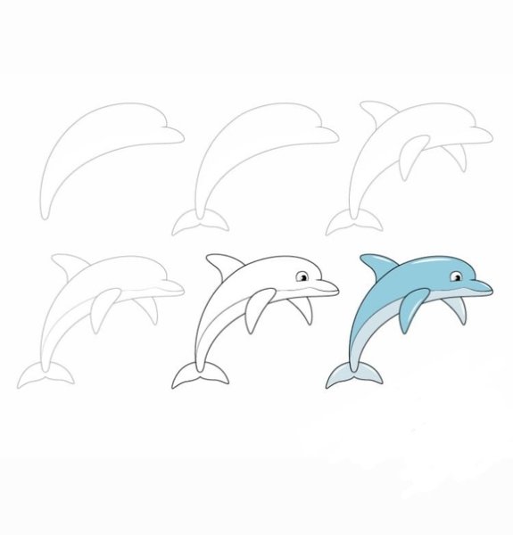 Поэтапное рисование дельфина