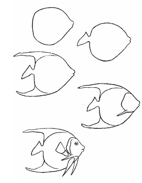 Поэтапное рисование рыбы для дошкольников