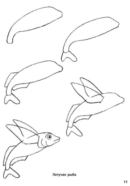 Поэтапное рисование морские обитатели