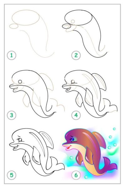 Дельфин поэтапно