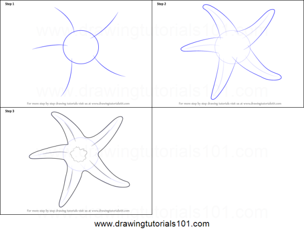 Как нарисовать морскую звезду поэтапно
